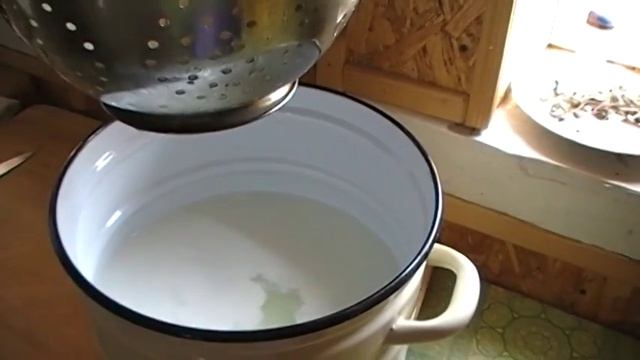 Сычужная закваска для сыра смотреть онлайн