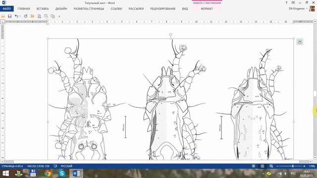 Word для новичков - 22  Рисунки  3  Собственно рисунки