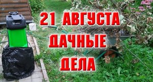 21 августа. На даче.mp4