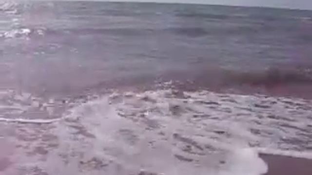 Suave Melodia E Sua Corrente