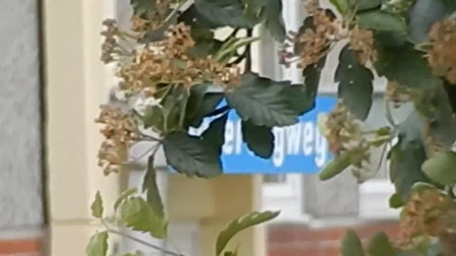 Nikon s9500 Video Zoom Test Full HD 1080 2013 Juni смотреть онлайн