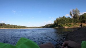 Ловля судака на тейл-спиннеры.