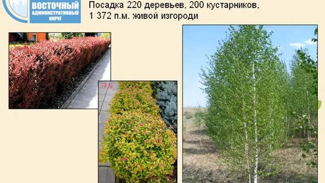 Проект благоустройства бульвара смотреть онлайн