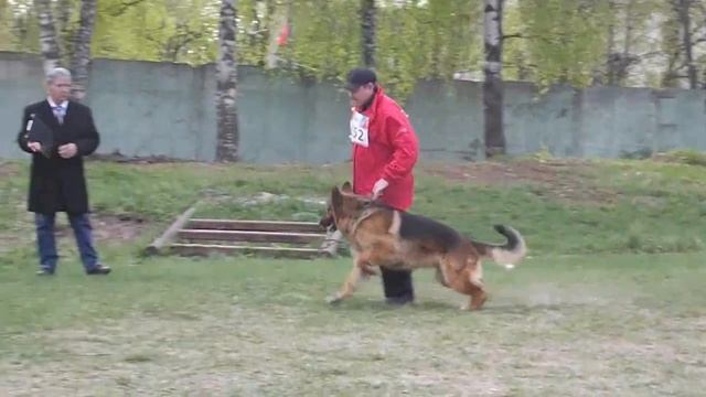 №152 Негус Карилс Лондон смотреть онлайн