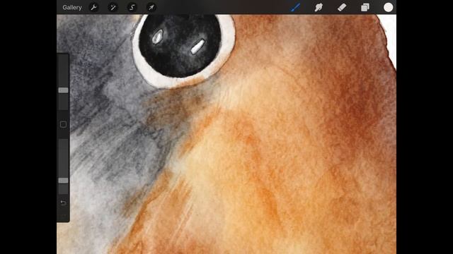 How to draw robin in Procreate with Soft watercolor brushes by Yuliya Derbisheva смотреть онлайн