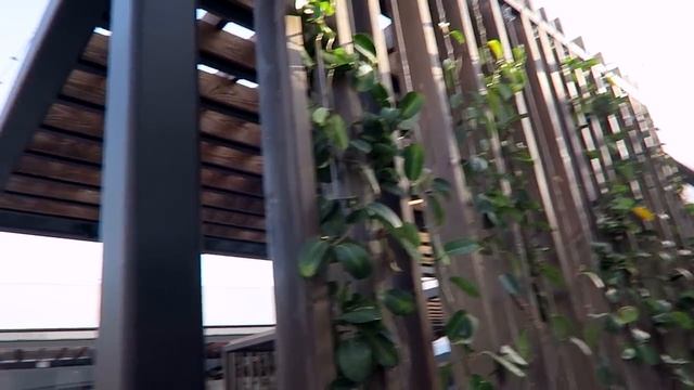 ВЫБИРАЕМ НОВУЮ МАШИНУ ТЕСЛУ / АМЕРИКА VLOG смотреть онлайн