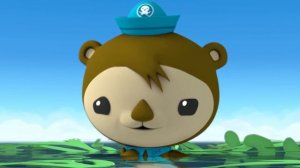 03.18 - Октонавты и нашествие морских ежей