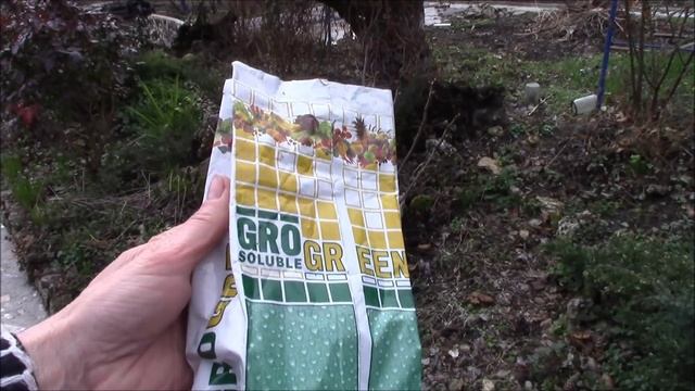 Древовидный пион. Весенняя обработка пиона. смотреть онлайн