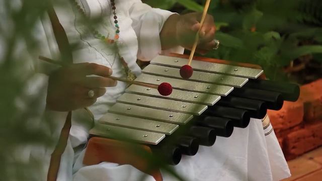 Mahesh Vinayakram | Metallophone смотреть онлайн