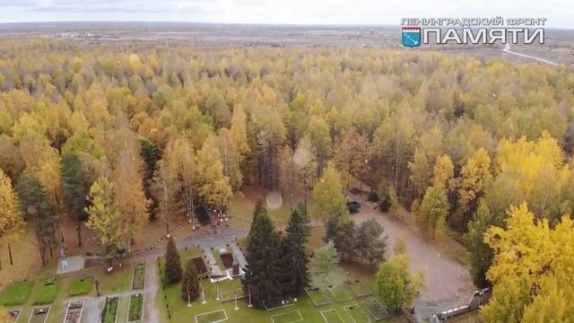 "Ночь музеев" Автор Ирина Печенева смотреть онлайн