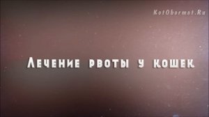 Что делать если кошку рвет? Советы ветеринара