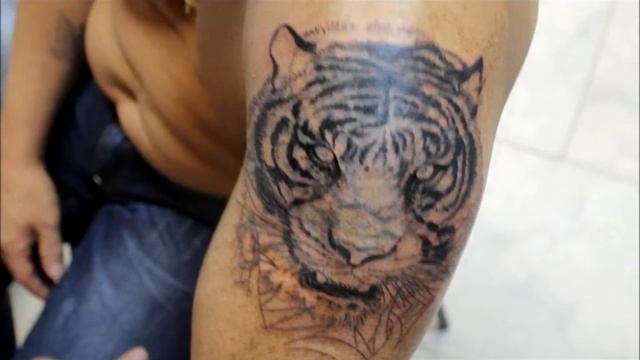 Тигр Кавер Алексей Ефимов смотреть онлайн