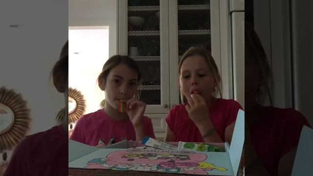 CANDY FROM DIFFERENT COUNTRIES! -Erin Levi смотреть онлайн