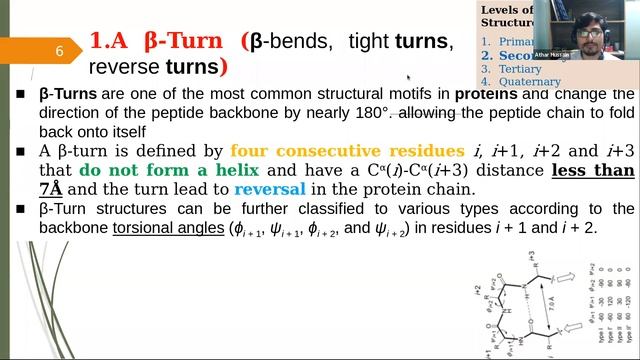 Protein Structure; Alpha Helix, Beta Sheet| Ramachandran plot | Phi and Psi bonds|Hindi|Genomics La смотреть онлайн