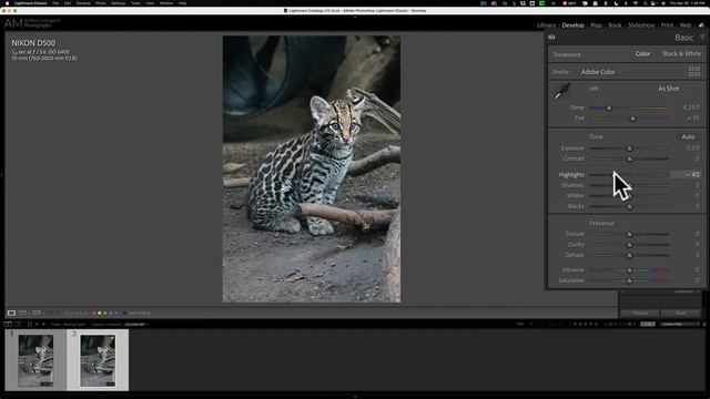 Should The NEW Lightroom AI Denoise Be Done Early or Late in Your Workflow? смотреть онлайн