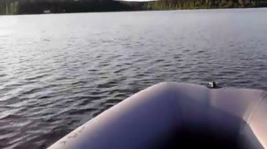 Фрегат 280м suzuki df5 тест карб df-6