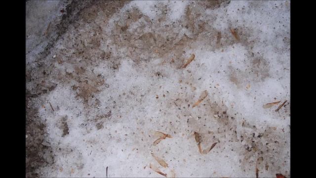 НАТАЛИЯ ЧЕРНЫХ. КАМЕНА смотреть онлайн