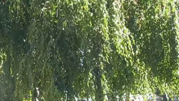 Песня в три аккорда.Мы уходим.(С.Есенин.)