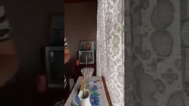 похождение 2-ух полуфобрикатных особей часть 7 смотреть онлайн