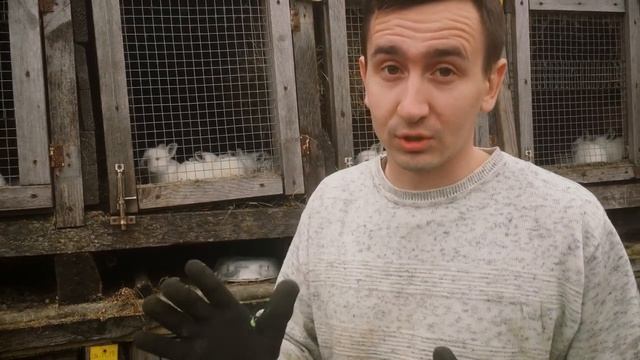 Когда КРОЛИКИ ОТКРЫВАЮ глаза | Дневник Кроликовода №60 ? | Арболитич смотреть онлайн