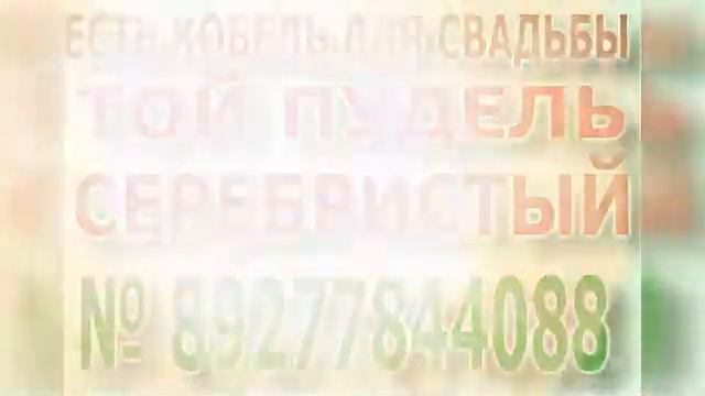 Кобели той Пуделя в Самаре , Тольятти , смотреть онлайн