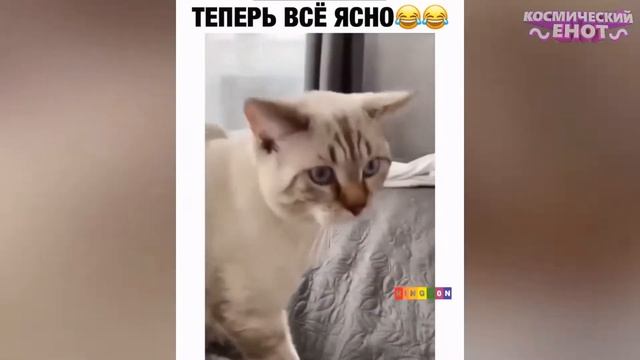 Учебник по Таланту