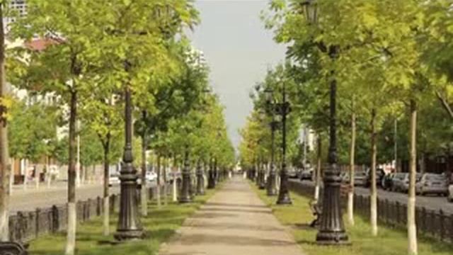 Опрос молодежи смотреть онлайн