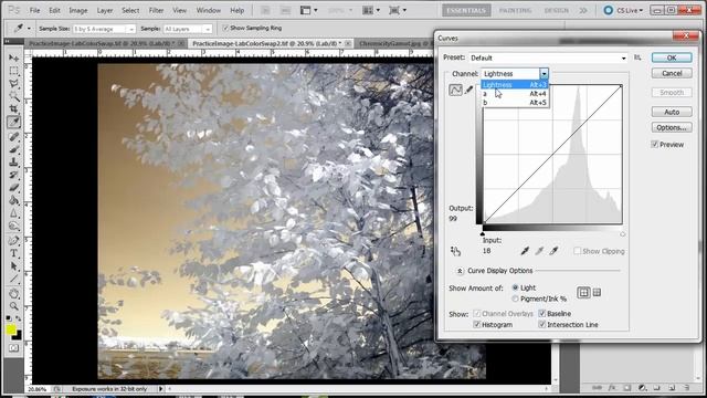 Creating a Blue Sky with Lab Color and Curves смотреть онлайн