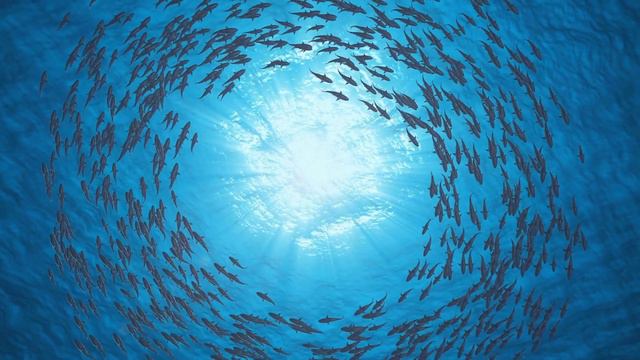 amazing ocean animals (whale, shark, dolphin, penguin, fish, relaxing, music, turtle) смотреть онлайн