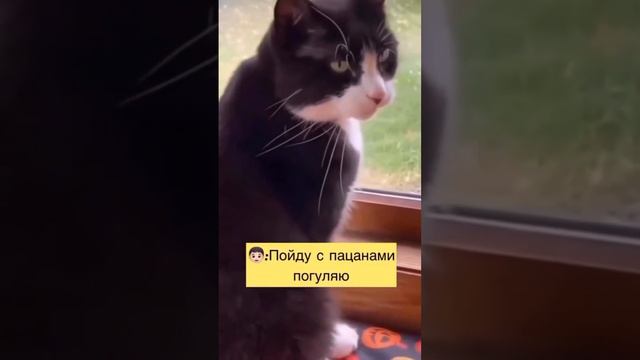 Когда у девушки эти дни #😂😂😂 #отношения #МЕСЯЧНЫЕ смотреть онлайн