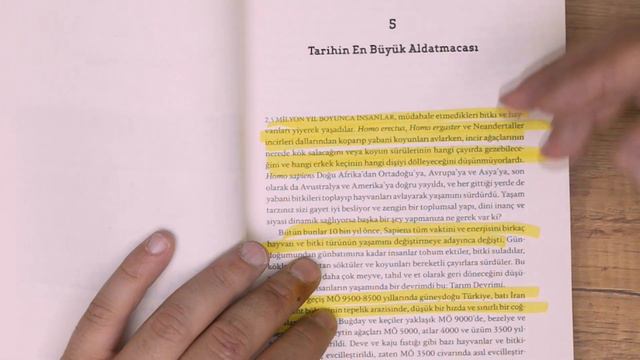 Asrın İllüzyonisti - Yuval Noah HARARI смотреть онлайн