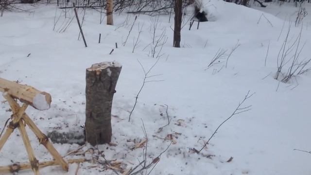 Когда валить лес смотреть онлайн