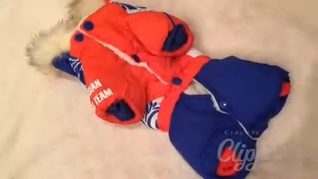 Зимний комбинезон для собак LimSPORT «Sport Russia» VIP-DOG.COM смотреть онлайн