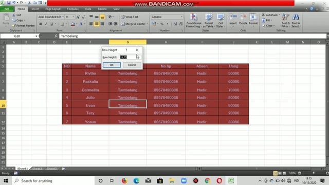 Modul 3 Formatting Cells and Worksheet (Microsoft Excel) смотреть онлайн