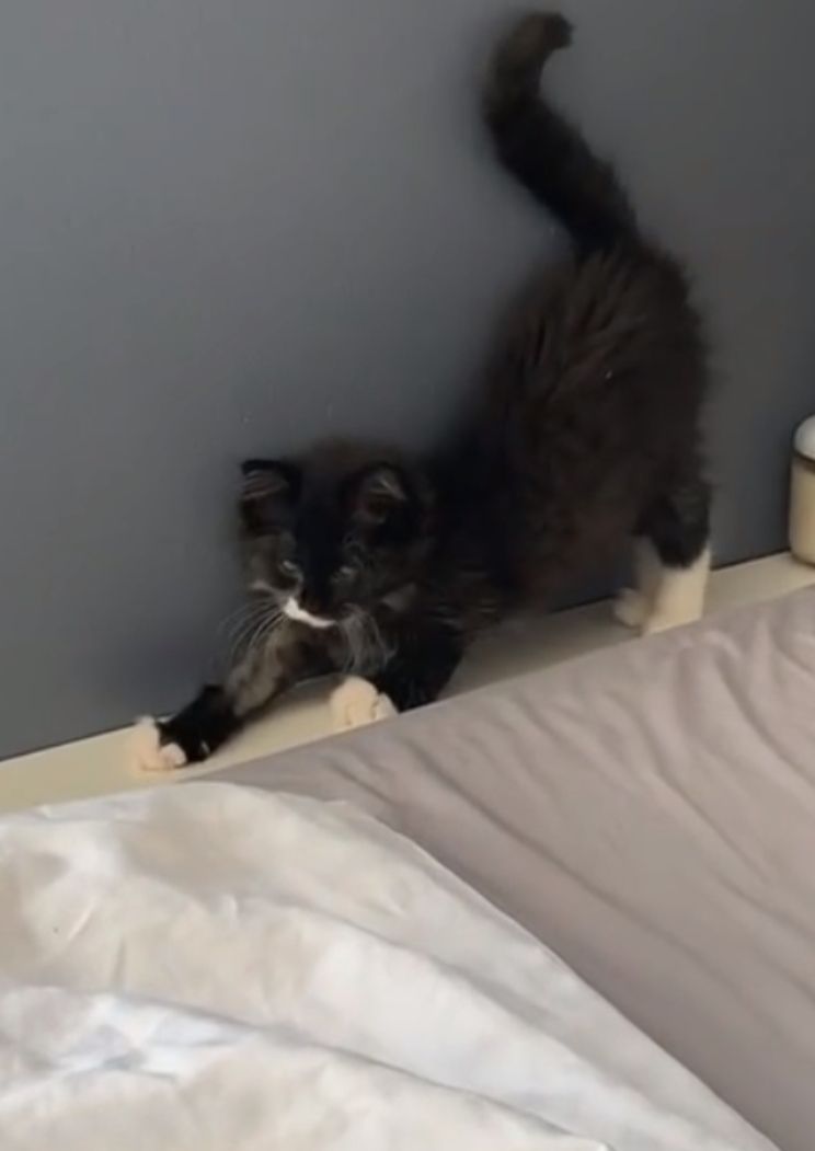 Новые открыватели 2023 года