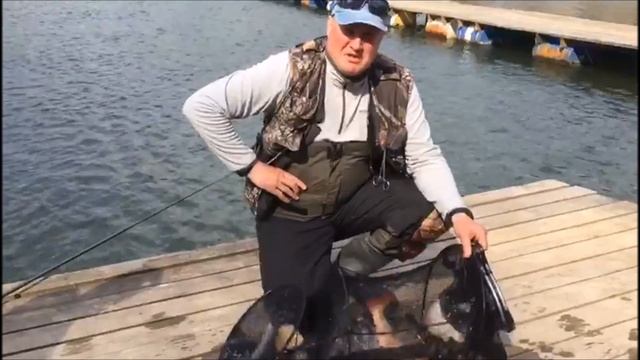 21.04.18 Секрет успешной рыбалки по форели на водоеме Савельево-2! смотреть онлайн