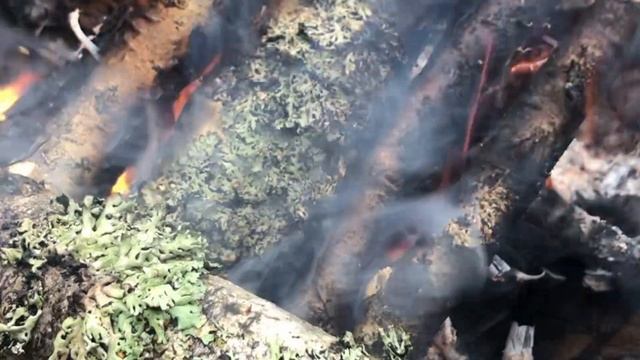 Звуки костра и дождя|Костер в лесу|Звуки для сна