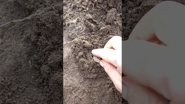 коп с т90 смотреть онлайн