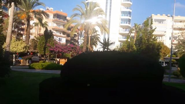 Погода в Махмутларе. Зима в Турции. Какая погода в Турции зимой? смотреть онлайн