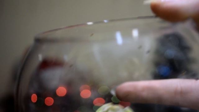 ЗНАКОМЬТЕСЬ! МОИ НЕОБЫЧНЫЕ ПИТОМЦЫ* Милее некуда