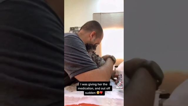 cat in blender кот в блендере смотреть онлайн