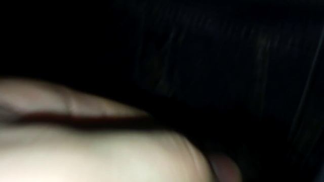 котёнок обсасывает кончик хвоста смотреть онлайн