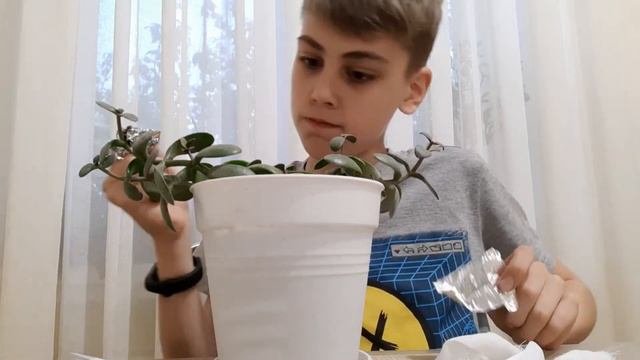 "Интересный результат" 🤨.Окончание експеримента. смотреть онлайн