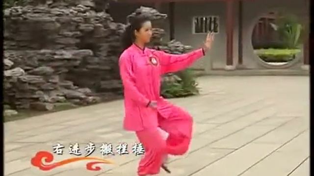 Yang Style Taijiquan 1 Duan Form Solo