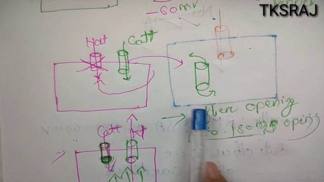 Why SA node is self excitatory? смотреть онлайн