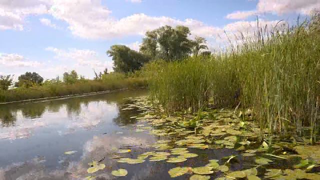 Фолк-группа Солнцеворот (г.Екатеринбург)_Улица