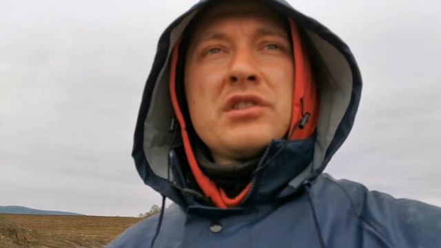 Как работает схема работы в Германии, кто кому платит, и кто зарабатывает на Украинцах смотреть онлайн