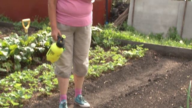 Голова садовая - Как надолго избавиться от сорняков смотреть онлайн