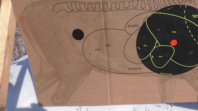 Антонио Золи 243win! Стреляем на 200 и 300 метров! Снайперам не смотреть! смотреть онлайн