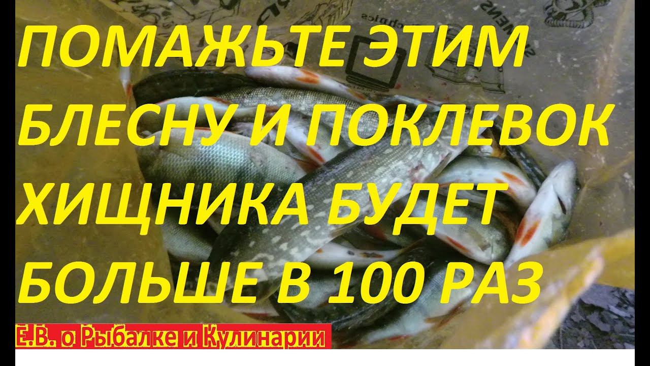 КАК ЛОВИТЬ МНОГО ЩУКИ И ОКУНЯ НА СПИННИНГСЕКРЕТ РАСКРЫТ ПОМАЖЬТЕ ЭТИМ БЛЕСНУ И ЛОВИТЕ РЫБУ МЕШКАМИ